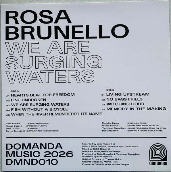 Rosa Brunello - We Are Surging Waters — back sleeve