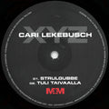 Cari Lekebusch – XYZ (2x12", Album) vinyl record | Paranoise Records