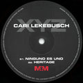 Cari Lekebusch – XYZ (2x12", Album) vinyl record | Paranoise Records