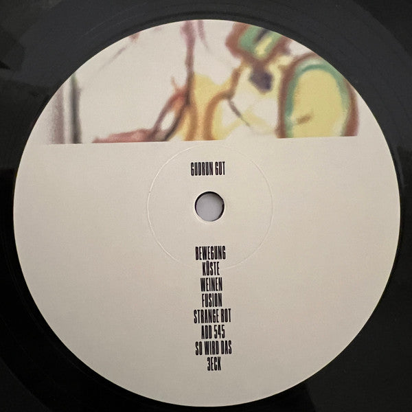 Gudrun Gut, Nate Wooley – Painter (LP, Album) vinyl record | Paranoise Records