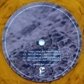 Reeko – Cryptophony (2xLP, Album, Ltd, Bro) vinyl record | Paranoise Records
