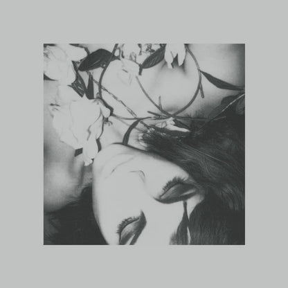 Void Vision - Sub Rosa (LP, Album, Ltd, RE) (Mint (M))